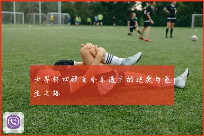 世界杯回顾南非东道主的逆袭与重生之路